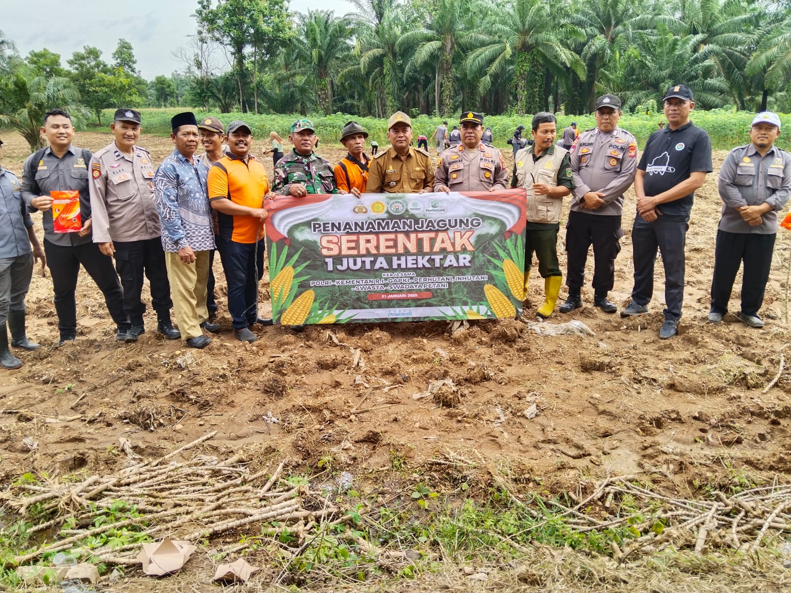 GIAT PENANAMAN JAGUNG SERENTAK SEJUTA HEKTAR DALAM RANGKA KETAHANAN PANGAN