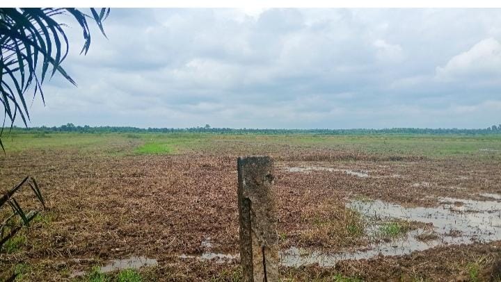 DANA OPTIMALISASI LAHAN ( OPLAH ) DARI PEMERINTAH SEBESAR Rp 900.000 TIDAK MENCUKUPI SEHINGGA PETANI DI BEBANI Rp 300.000